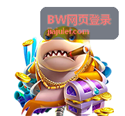 BW网页登录流程与账号安全检查示意配图